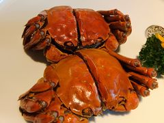 -金典银峰老鹅馆·昆山菜(亭林公园店)
