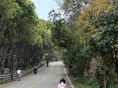 -虞山风景区