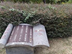 -澹台湖公园