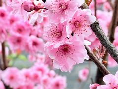 -江苏模特艺术学校