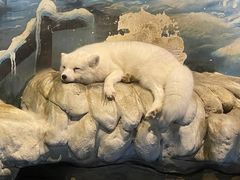 -顺德南宏海立方海洋公园