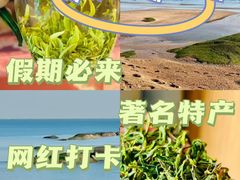 -日照灯塔风景区