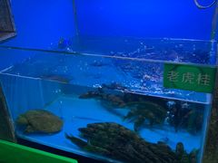 -陈先进鱼馆·地道农家菜(湖墅南路店)