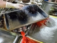 -板桥海鲜广场11排2号