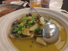 黄焖鲟龙鱼-饭怕鱼·黄焖鲟龙鱼(湖大店)