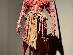 -中国美术学院-美术馆