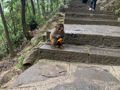 -黔灵山公园-南门售票处