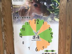 -鹿境梅花鹿生态园区