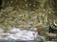 -巽东海鲜大排档(巽寮湾店)