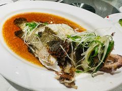 东星斑-顶好海鲜酒家