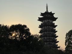 -洋湖国家湿地公园