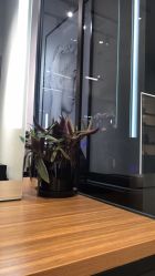 -SEBASTIAN塞巴斯汀