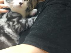 -芭比堂动物医院·犬猫全科·异宠专科(雁塔分院)