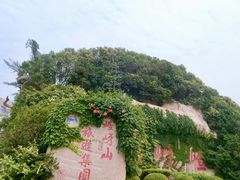 -嵖岈山风景区