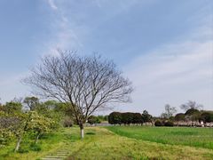 -梁鸿国家湿地公园