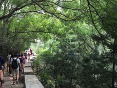 -碓臼峪自然风景区