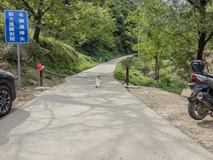 -抱龙峪
