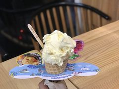 香草牛乳-野人先生现做冰淇淋(北京顺义祥云小镇店)