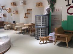 -藏猫猫咖啡主题馆(中央大道店)