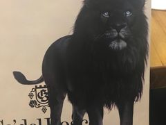 -北京三里屯CHAO酒店