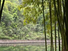 -三峡人家风景区