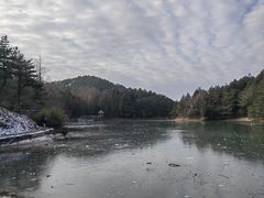 -四明山国家森林公园
