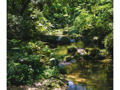 -桂林古东瀑布景区