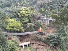 -南丹山森林王国