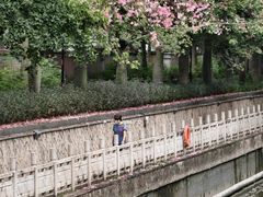 -番禺广场(市桥街道)