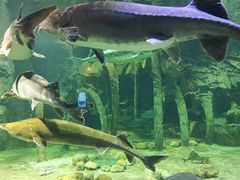 -华夏文旅海洋公园