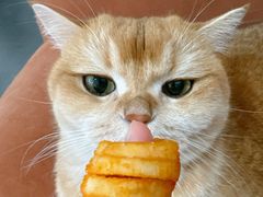 -麦当劳(西客站店)