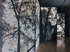 -中国美术学院-美术馆