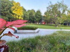 -游心咖啡(青山红坊店)