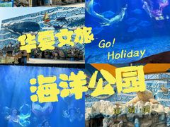 -华夏文旅海洋公园