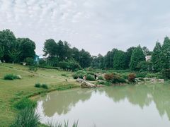 -铁山坪森林公园