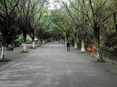 -滴水岩森林公园