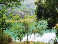 -佛山市三水区大南山森林公园