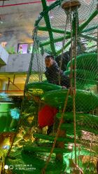 -恐龙探索乐园(磁器口店)