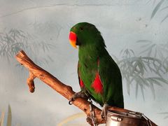 -石家庄市动物园