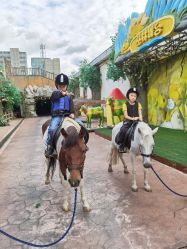 -宝燕乐园(闵行旗舰店)