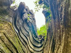 -梭布垭石林景区