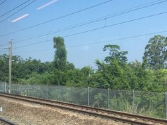 -理療君·古法推拿•姜疗•SPA馆(东门店)