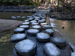 -茅兰沟国家森林公园