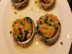 蒜蓉鲍鱼-都市阳光海鲜城(青山湖店)