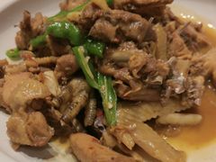 耕渔生态鸡-耕渔小院·湖南鱼鲜(望城店)