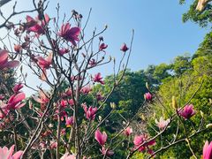 -云溪植物园
