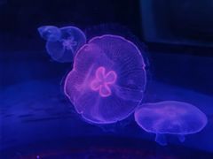 -常州海昌海洋探索馆