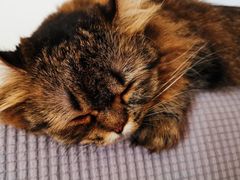 -斯多格书乡(北京大学畅春园店)