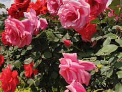 -同德昆明广场购物中心