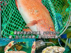 -三亚亚特兰蒂斯度假区